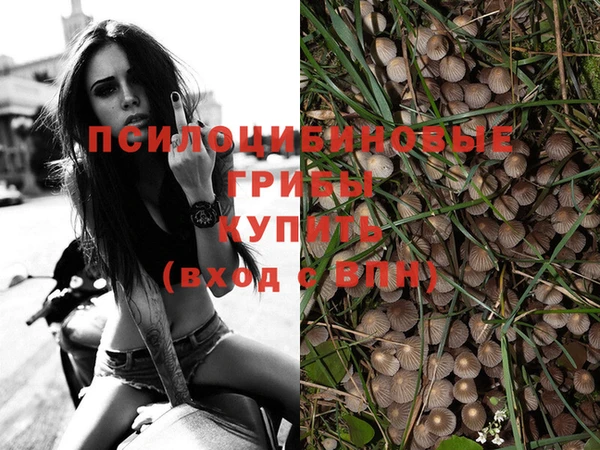 альфа пвп Гусиноозёрск