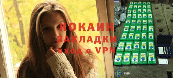 ПСИЛОЦИБИНОВЫЕ ГРИБЫ Дмитриев