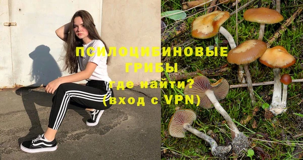 ПСИЛОЦИБИНОВЫЕ ГРИБЫ Дмитриев