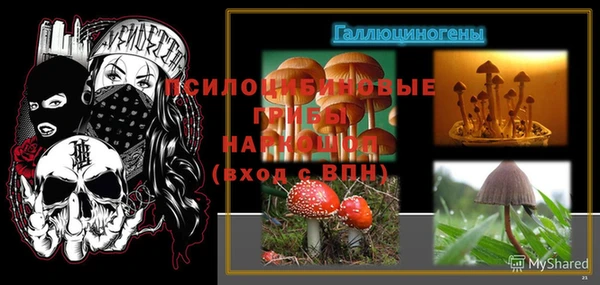 спайс Гусь-Хрустальный