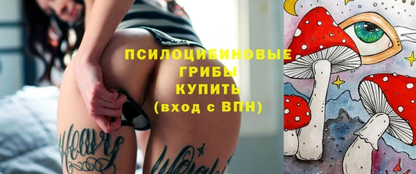 ПСИЛОЦИБИНОВЫЕ ГРИБЫ Дмитриев