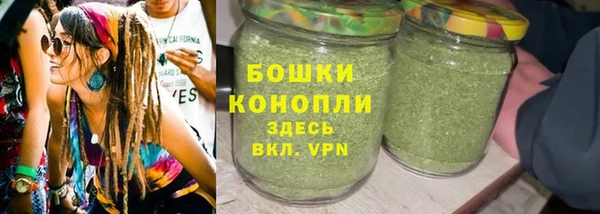 альфа пвп Гусиноозёрск