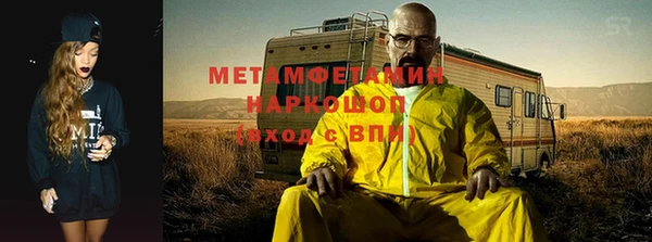 ПСИЛОЦИБИНОВЫЕ ГРИБЫ Дмитриев