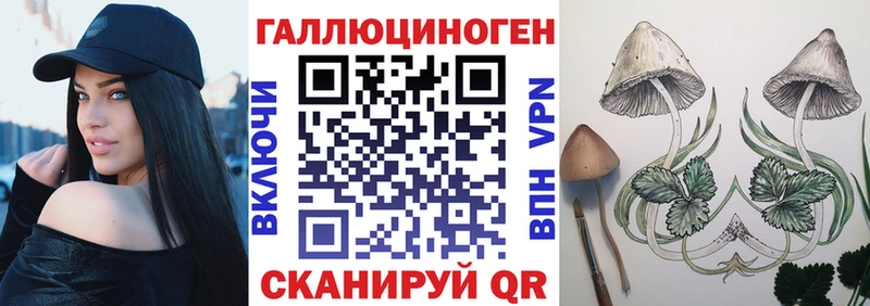 Псилоцибиновые грибы Psilocybine cubensis Омутнинск